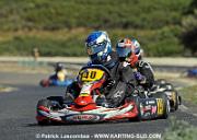 DSC_7018 copie